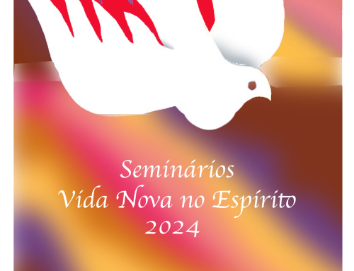 SEMINÁRIOS VIDA NOVA NO ESPÍRITO 2024