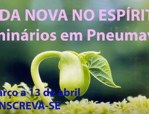 SEMINÁRIOS VIDA NOVA NO ESPÍRITO 2025