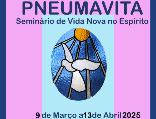 SEMINÁRIOS VIDA NOVA NO ESPÍRITO 2025 – TESTEMUNHOS
